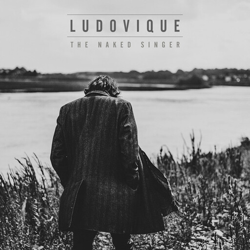 Cover art for Never Knew by Ludovique